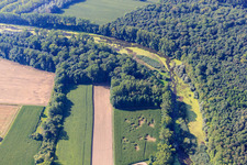 Luftbild von Michelsbach in den Altrheinauen im Ortsteil Sondernheim in Germersheim im Bundesland Rheinland-Pfalz, Deutschland