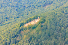 Burgruine Rietburg Rietburg / in Venningen im Bundesland Rheinland-Pfalz, Deutschland