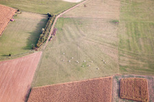 Uhrwiller im Bundesland Bas-Rhin, Frankreich aus der Luft betrachtet