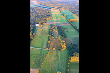 Luftbild von Otterbachniederung und Bienwald in Minfeld im Bundesland Rheinland-Pfalz, Deutschland