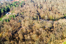 Fun Forest: Abenteuerpark Kandel im Bundesland Rheinland-Pfalz, Deutschland von oben