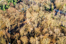 Fun Forest: Abenteuerpark Kandel im Bundesland Rheinland-Pfalz, Deutschland aus der Luft