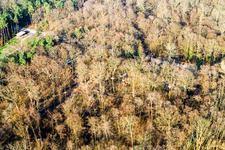 Fun Forest: Abenteuerpark Kandel im Bundesland Rheinland-Pfalz, Deutschland von oben gesehen