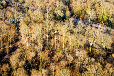 Fun Forest: Abenteuerpark Kandel im Bundesland Rheinland-Pfalz, Deutschland vom Flugzeug aus