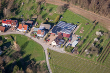 Luftbild von Weingut Kopp im Ortsteil Ebenung in Sinzheim im Bundesland Baden-Württemberg, Deutschland