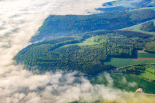 Nebel im Taubertal in Tauberbischofsheim im Bundesland Baden-Württemberg, Deutschland
