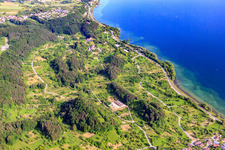 Burghalde, Burgruine Hüneberg und Streuobstwiesen um die Sieben Churfirsten in Sipplingen im Bundesland Baden-Württemberg, Deutschland