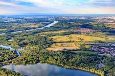 Inselwad und Illinger Altrhein in Elchesheim-Illingen im Bundesland Baden-Württemberg, Deutschland