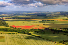 Klatschmohn auf Getreidefeldern in Ballenstedt im Bundesland Sachsen-Anhalt, Deutschland