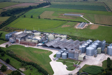 Bempton im Bundesland England, Großbritanien