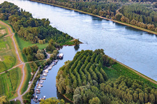 Lautermuschel an der Mündung der Lauter in den Rhein in Neuburg am Rhein im Bundesland Rheinland-Pfalz, Deutschland