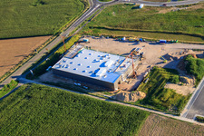 Schrägluftbild von Neubau der TRANSAC Intern. Speditionsgesellschaft mbH in Rülzheim im Bundesland Rheinland-Pfalz, Deutschland