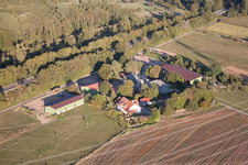 Pferdepension Brecht im Ortsteil Huttenheim in Philippsburg im Bundesland Baden-Württemberg, Deutschland