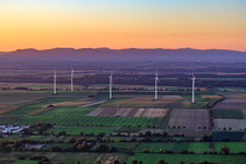 Luftaufnahme von Windpark Minfeld von Süden im Bundesland Rheinland-Pfalz, Deutschland