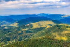 Luftaufnahme von Burgruine Neuscharfeneck von Süden in Flemlingen im Bundesland Rheinland-Pfalz, Deutschland