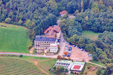 Luftbild von Arens Hotel 327m NN (früherers Hotel Haus am Weinberg) im Ortsteil SaintMartin in Sankt Martin im Bundesland Rheinland-Pfalz, Deutschland