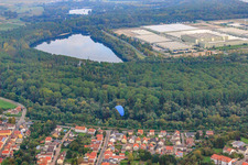 Luftbild von Kolpingstr in Lingenfeld im Bundesland Rheinland-Pfalz, Deutschland