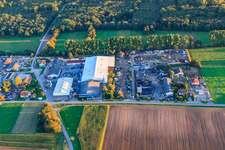 Gewerbegebiet Am Oberen Griesweg mit Riwald Electronics Recycling GmbH Niederlassung Lustadt im Ortsteil Niederlustadt im Bundesland Rheinland-Pfalz, Deutschland