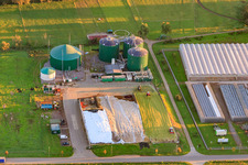Biogasanlage Lustadt im Ortsteil Niederlustadt im Bundesland Rheinland-Pfalz, Deutschland
