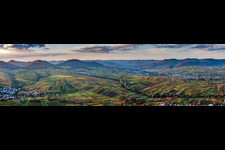 Südpfalzpanorama am Ilbesheim bis Siebeldingen im Ortsteil Arzheim in Landau in der Pfalz im Bundesland Rheinland-Pfalz, Deutschland