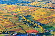 Aalmühl in Ilbesheim bei Landau im Bundesland Rheinland-Pfalz, Deutschland
