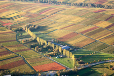 Herbstliche Baumreihe im Tal der Aalmühle zwischen Weinbergen in Ilbesheim bei Landau in der Pfalz im Bundesland Rheinland-Pfalz, Deutschland