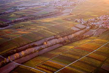 Strukturen auf landwirtschaftlichen Feldern im Ortsteil Wollmesheim in Landau in der Pfalz im Bundesland Rheinland-Pfalz, Deutschland