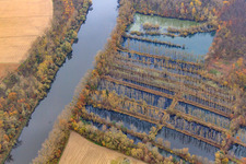 Überflutete Rheinauen am Micheslbach/Altrhein in Hördt im Bundesland Rheinland-Pfalz, Deutschland