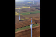 Luftbild von Windpark zwischen Rülzheim und Offenbach im Bundesland Rheinland-Pfalz, Deutschland