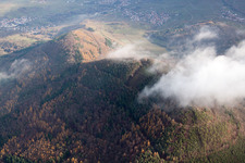 Hohenberg in Annweiler am Trifels im Bundesland Rheinland-Pfalz, Deutschland