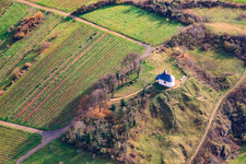 Kapelle "Kleine Kalmit" im Naturschutzgebiet Kleine Kalmit im Winter von Norden im Ortsteil Arzheim in Landau in der Pfalz im Bundesland Rheinland-Pfalz, Deutschland