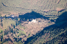 Erlenbach, Burg Berwartstein in Erlenbach bei Dahn im Bundesland Rheinland-Pfalz, Deutschland von der Drohne aus gesehen