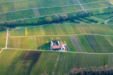 Luftaufnahme von Weingut Erlenwein im Wacholderhof im Winter in Ilbesheim bei Landau im Bundesland Rheinland-Pfalz, Deutschland
