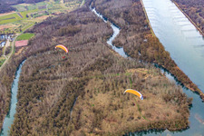 Altrhein Bremengrund in Au am Rhein im Bundesland Baden-Württemberg, Deutschland