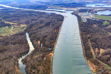 Luftbild von Altrhein Bremengrund in Au am Rhein im Bundesland Baden-Württemberg, Deutschland