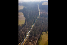 Durb.-Kammb.-Wannenbach-Kanel im Wald im Ortsteil Urloffen in Appenweier im Bundesland Baden-Württemberg, Deutschland