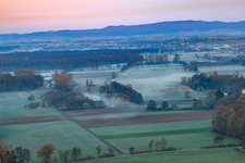 Biotop in der Otterbachniederung im Morgendunst in Minfeld im Bundesland Rheinland-Pfalz, Deutschland