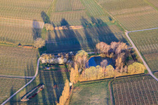 Weiher an der Aalmühl in Ilbesheim bei Landau im Bundesland Rheinland-Pfalz, Deutschland