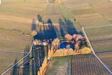 Luftbild von Weiher an der Aalmühl in Ilbesheim bei Landau im Bundesland Rheinland-Pfalz, Deutschland