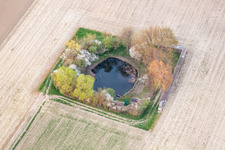 Angler- Teich in Neupotz in Leimersheim im Bundesland Rheinland-Pfalz, Deutschland