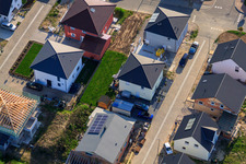 Neubaugebiet Ost (Im Holderbusch) in Minfeld im Bundesland Rheinland-Pfalz, Deutschland von oben gesehen