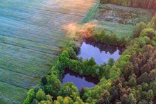 Angelweiher im Otterbachtal am Rand des Bienwalds in Minfeld im Bundesland Rheinland-Pfalz, Deutschland