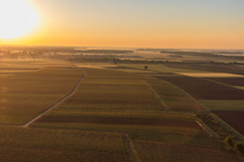 Luftbild von Sonnenaufgang über dem Dorf in Steinweiler im Bundesland Rheinland-Pfalz, Deutschland