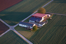 Billigheim-Ingenheim im Bundesland Rheinland-Pfalz, Deutschland von oben