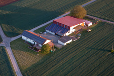 Billigheim-Ingenheim im Bundesland Rheinland-Pfalz, Deutschland aus der Luft