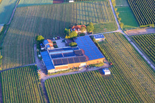 Gertrudenhof in Impflingen im Bundesland Rheinland-Pfalz, Deutschland