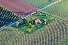 Grillhütte Impflingen an der B38 im Bundesland Rheinland-Pfalz, Deutschland