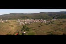 Panorama - Perspektive der Dorf - Ansicht am Rande von Weinbergen am Haardtrand des Pfälzerwaldes von Ortsteil Königsbach in Neustadt an der Weinstraße im Bundesland Rheinland-Pfalz, Deutschland
