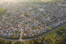 Luftbild von Vogelring am Morgen in Jockgrim im Bundesland Rheinland-Pfalz, Deutschland