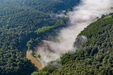 Waldlichtung im Nebel im Ortsteil Ovenhausen in Höxter im Bundesland Nordrhein-Westfalen, Deutschland